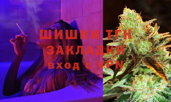 шишки Краснотурьинск