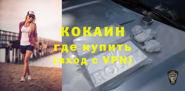 шишки Краснотурьинск