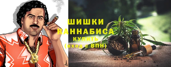 шишки Краснотурьинск